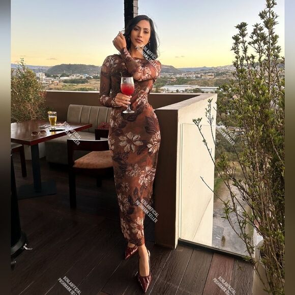 NWT ZARA PRINTED TULLEβDRESS Brown Winter Floral - Picture 6 of 12